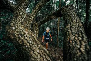 BIB: 
                            <button type="button" onclick="openModal(25394136)" class="btn btn-primary btn-sm float-right btn-popup" data-toggle="modal" data-target=".modal-high-quality">
                        <i class="fas fa-shopping-cart"></i> Add to Cart
                    </button>
                                            <button type="button" onclick="isThisMe(25394136, true)" class="btn btn-success btn-sm float-right btn-popup btn-isme hidden" data-toggle="tooltip" data-placement="bottom" title="นี่คือรูปของคุณใช่ไหม คลิกที่นี่เพื่อเอาเข้าอัลบั้ม">
                        <i class="fas fa-plus"></i> Add to album
                    </button>
                    <button type="button" onclick="isThisMe(25394136, false)" class="btn btn-warning btn-sm float-right btn-popup btn-isnotme hidden">
                        <i class="fas fa-ban"></i> Remove from album
                    </button>